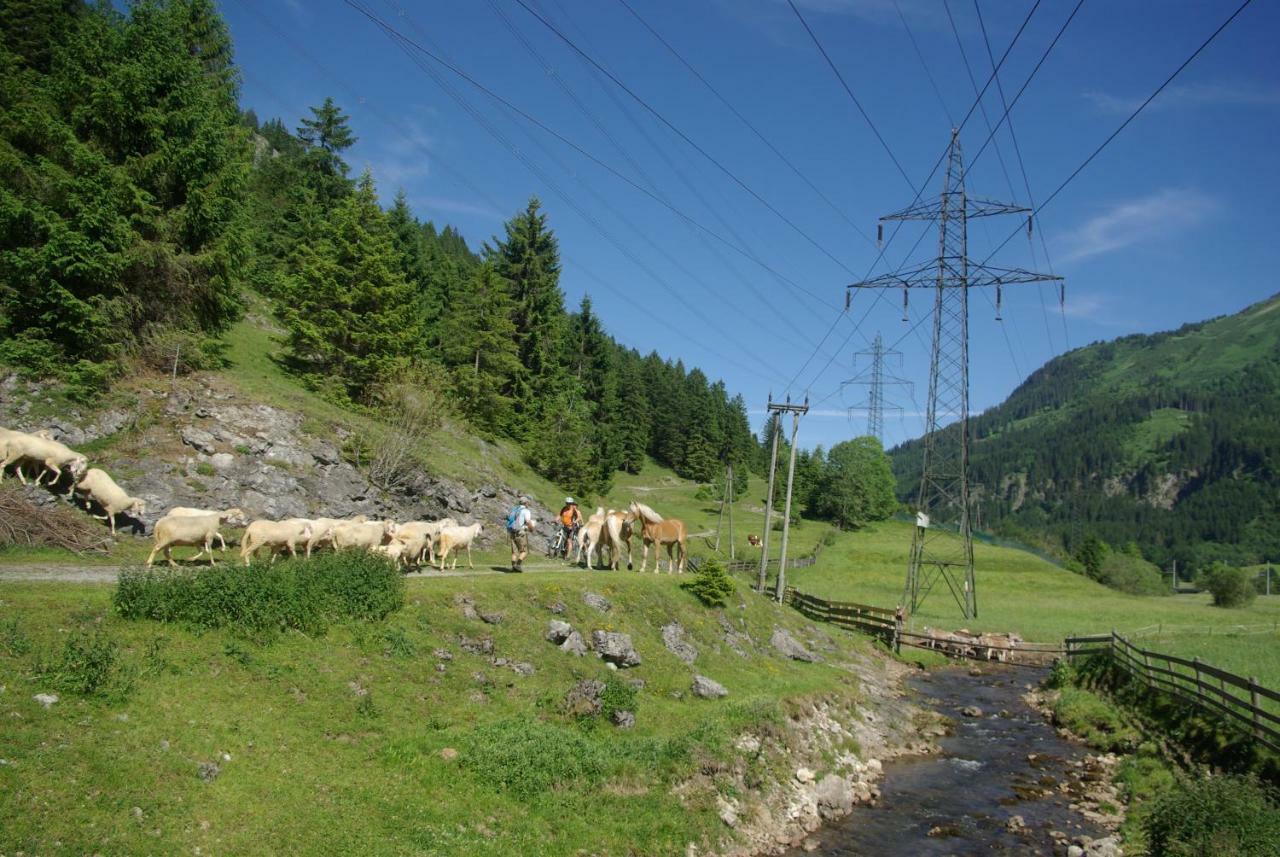 Hotel Haus Kohlberghof Bichlbach Esterno foto