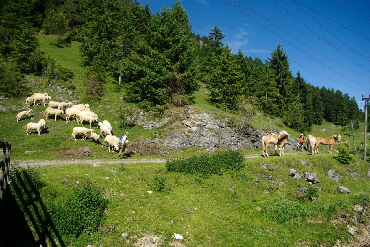 Hotel Haus Kohlberghof Bichlbach Esterno foto